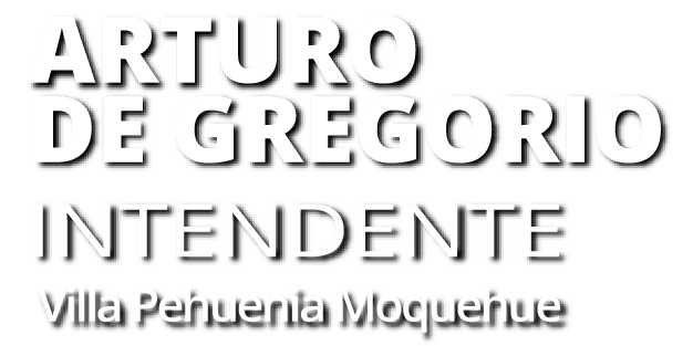Arturo de Gregorio | Intendente | Villa Pehuenia Moquehue